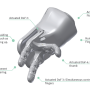 hand_overview.png